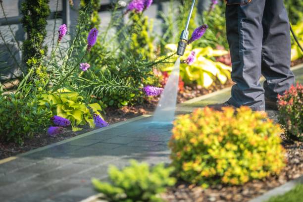 Reliable Curtisville, PA Pressure Washing Solutions