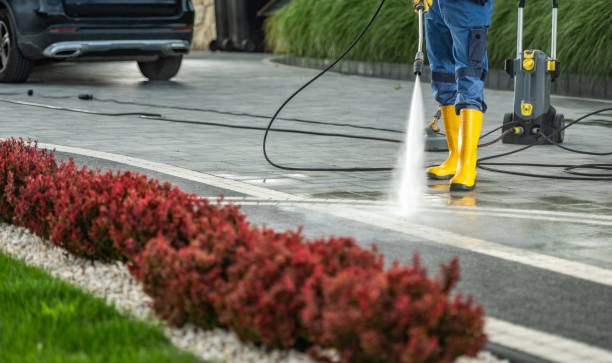 Best Driveway Pressure Washing  in Curtisville, PA